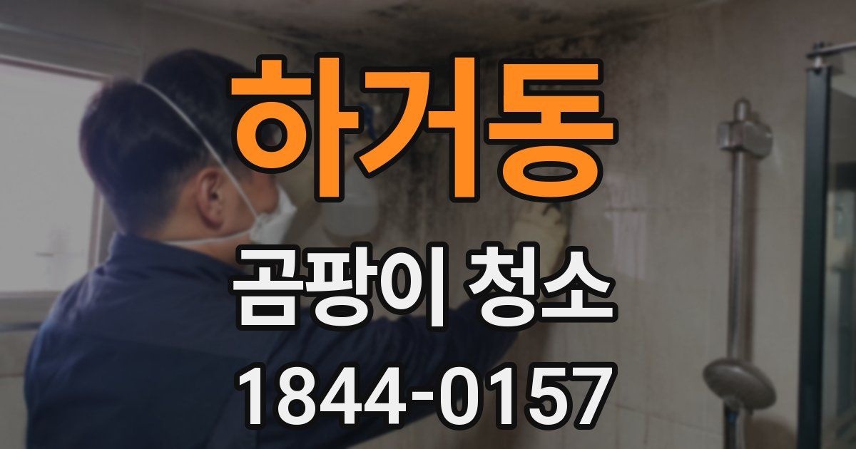 하거동 곰팡이 청소