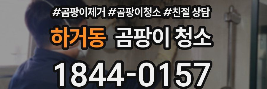 하거동 곰팡이 청소