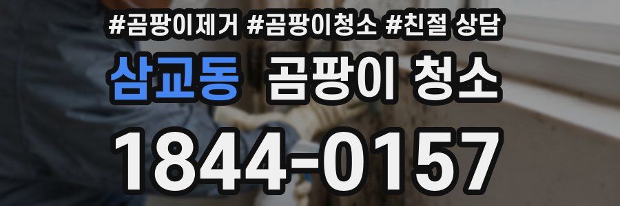 삼교동 곰팡이 청소