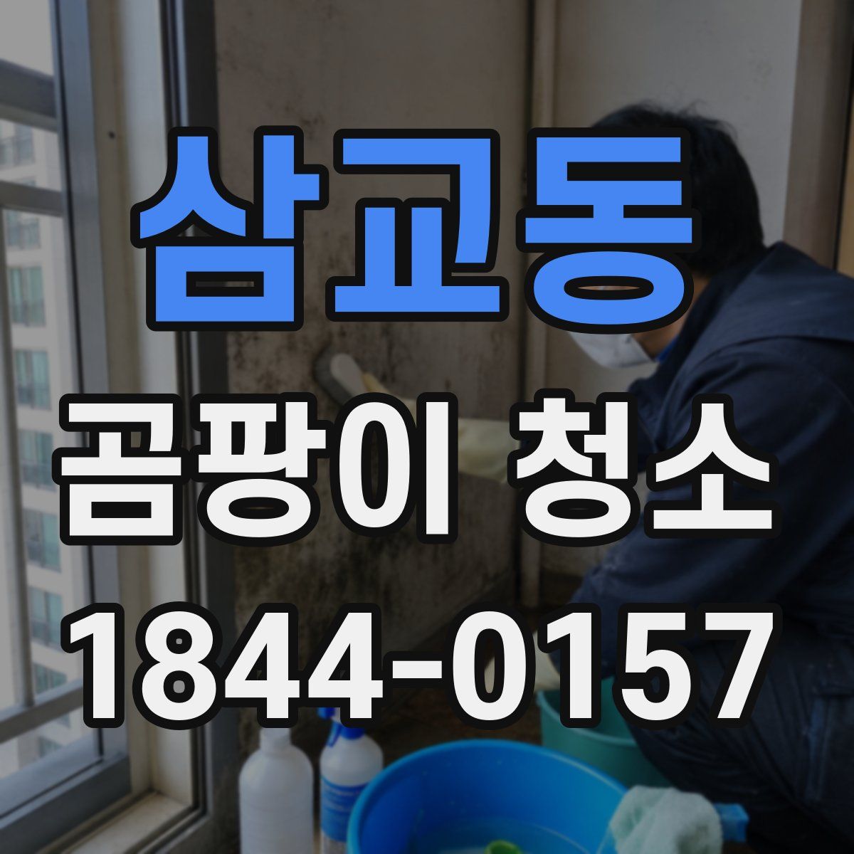 삼교동 곰팡이 청소