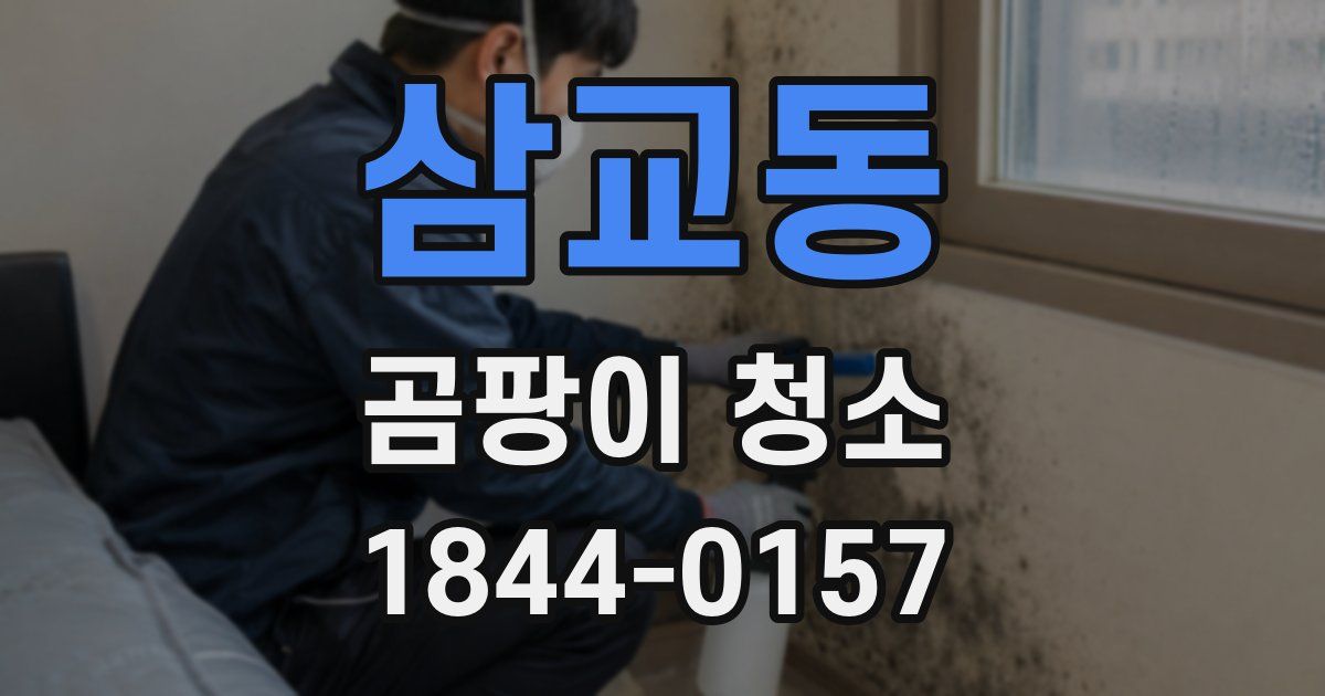 삼교동 곰팡이 청소
