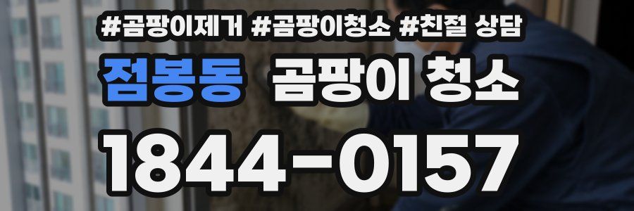 점봉동 곰팡이 청소