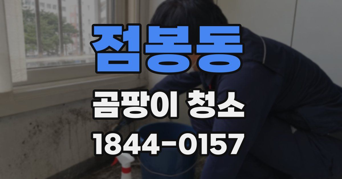 점봉동 곰팡이 청소