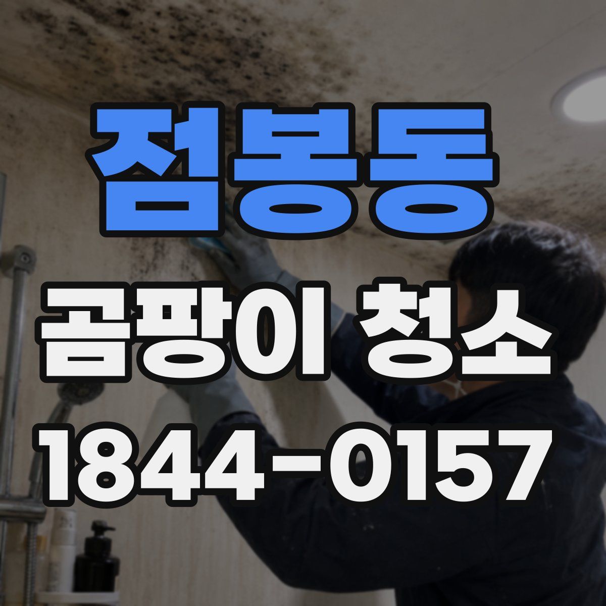 점봉동 곰팡이 청소