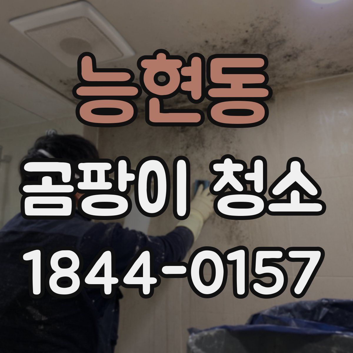 능현동 곰팡이 청소