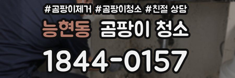 능현동 곰팡이 청소
