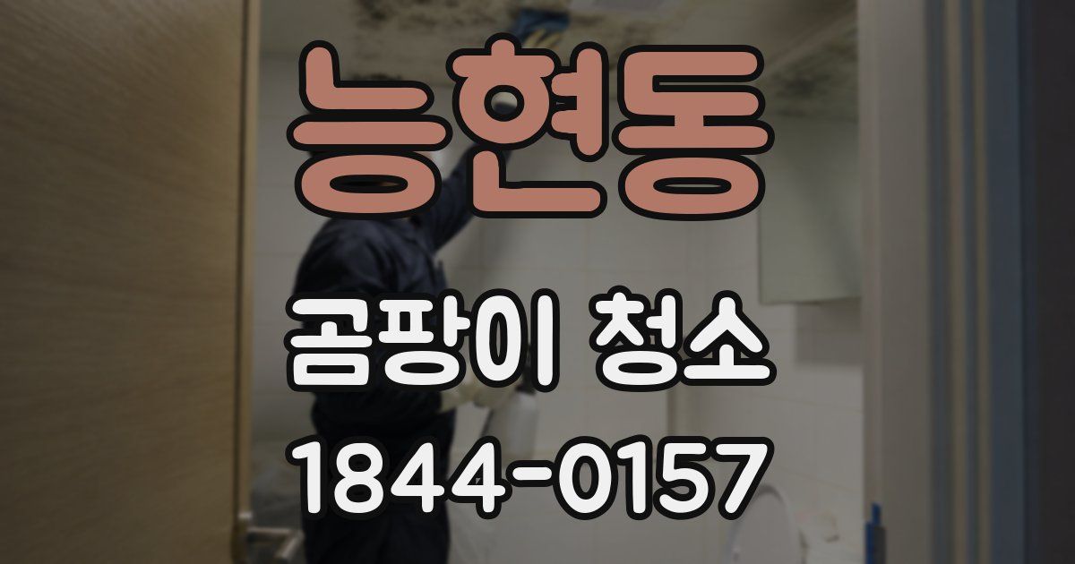 능현동 곰팡이 청소