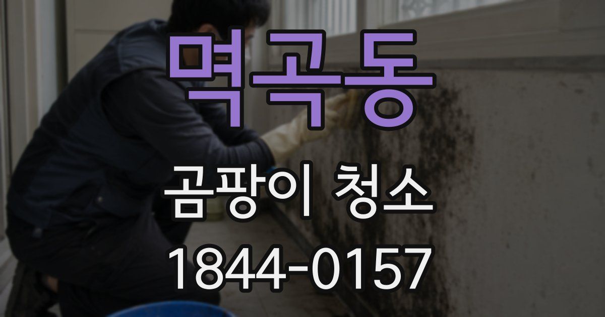 멱곡동 곰팡이 청소