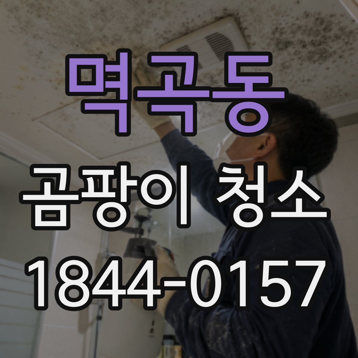 멱곡동 곰팡이 청소