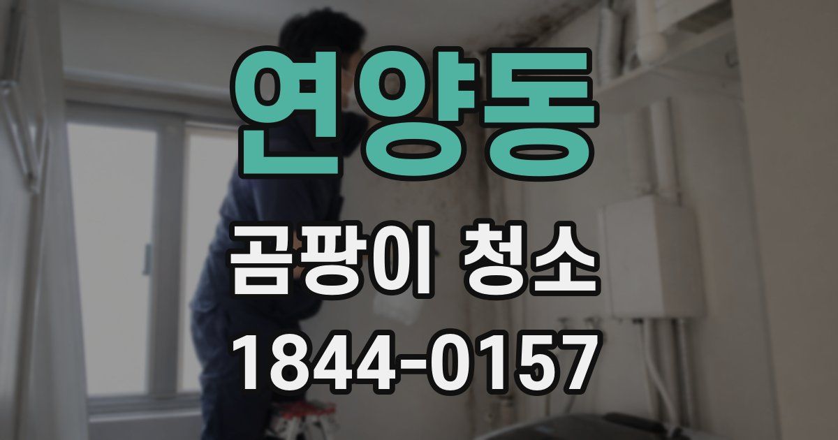 연양동 곰팡이 청소
