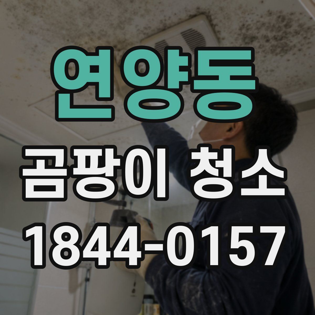연양동 곰팡이 청소