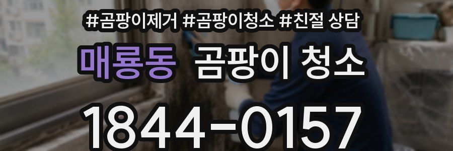 매룡동 곰팡이 청소