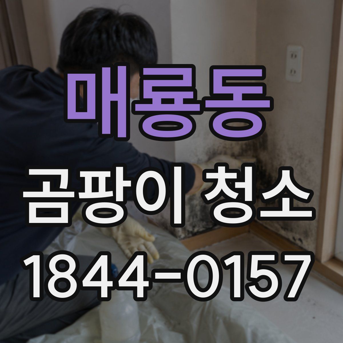 매룡동 곰팡이 청소