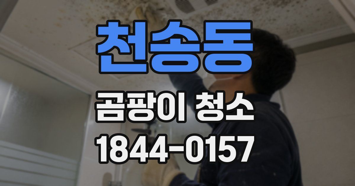 천송동 곰팡이 청소