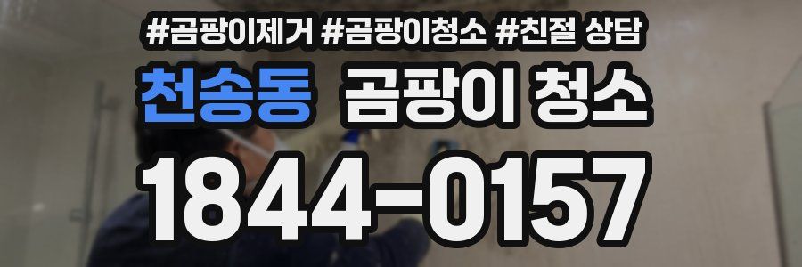 천송동 곰팡이 청소