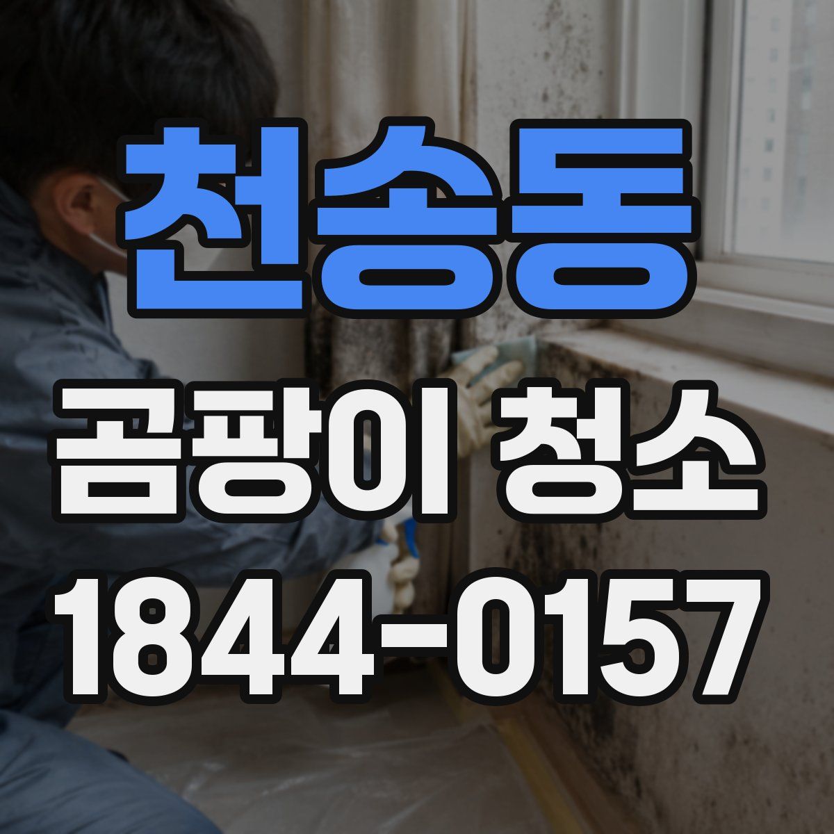 천송동 곰팡이 청소