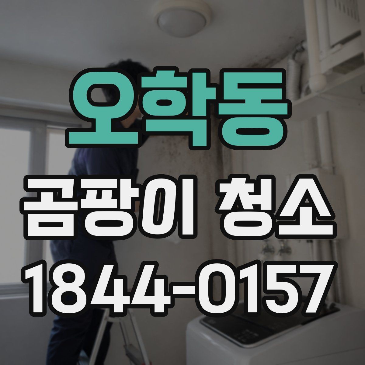오학동 곰팡이 청소 후 재발을 줄이는 관리법