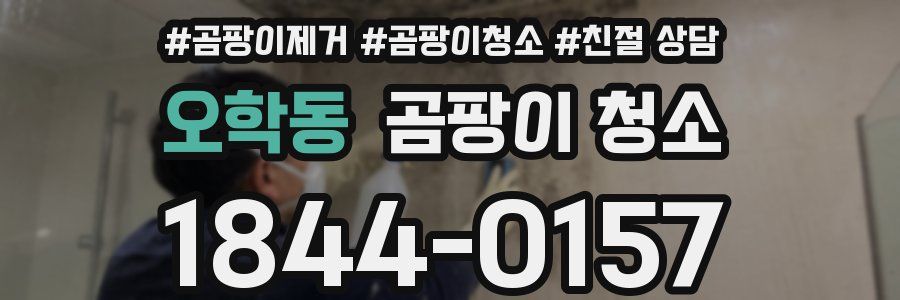 오학동 곰팡이 청소