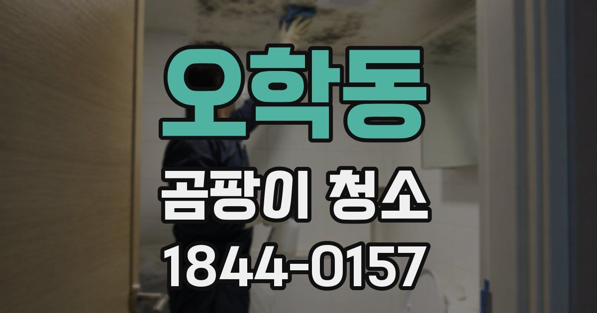 오학동 곰팡이 청소