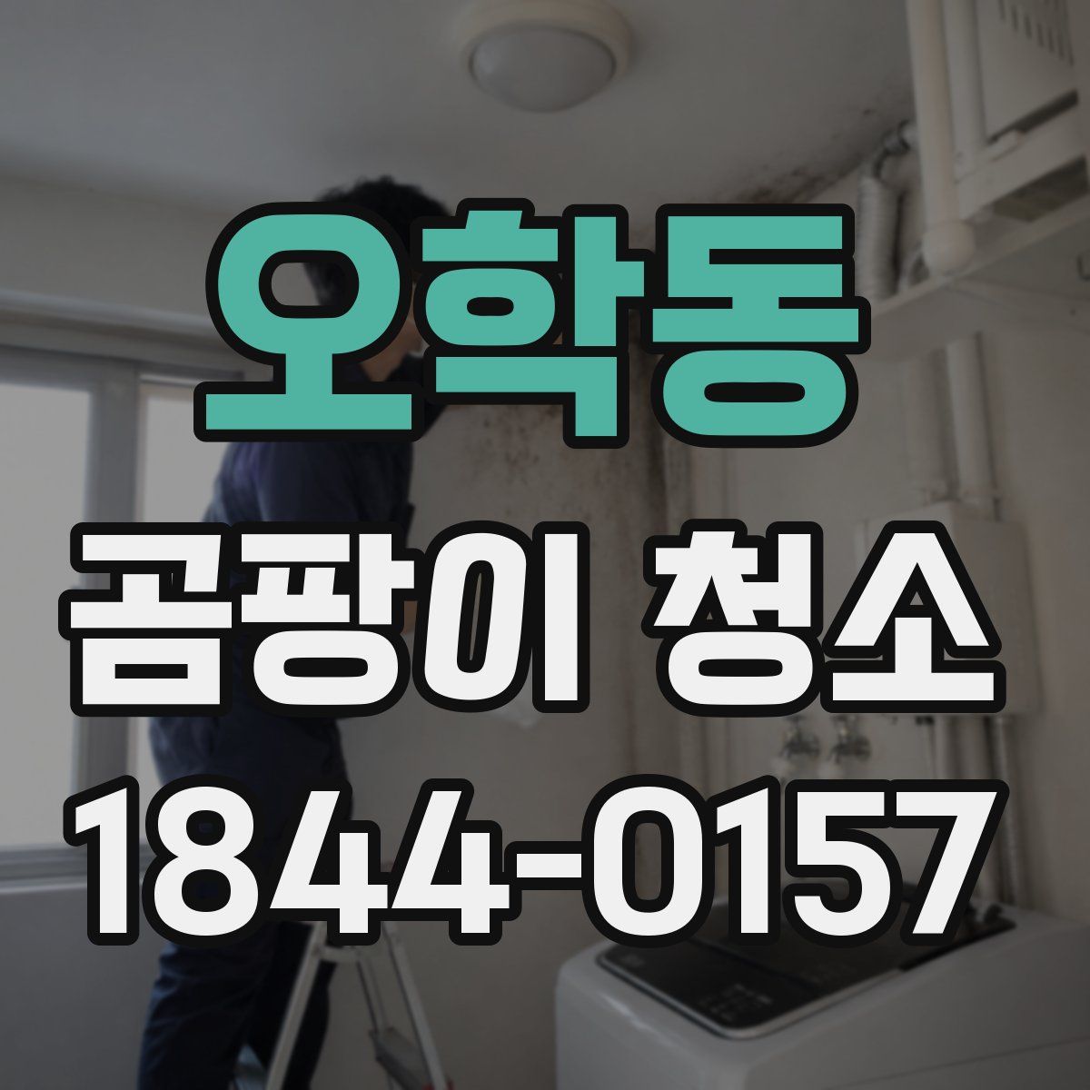 오학동 곰팡이 청소