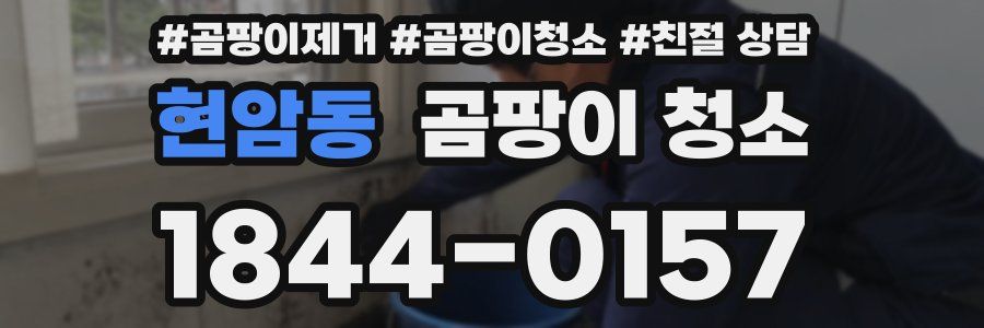 현암동 곰팡이 청소