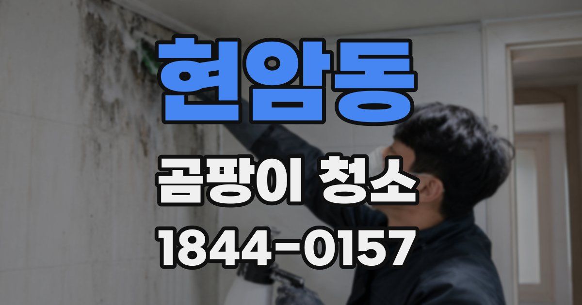 현암동 곰팡이 청소