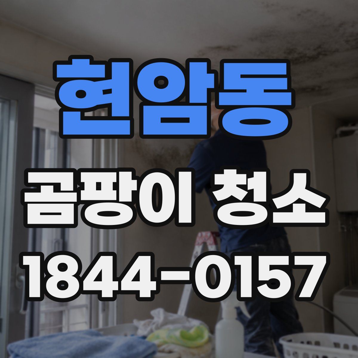 현암동 곰팡이 청소