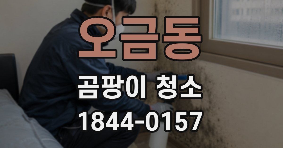 오금동 곰팡이 청소