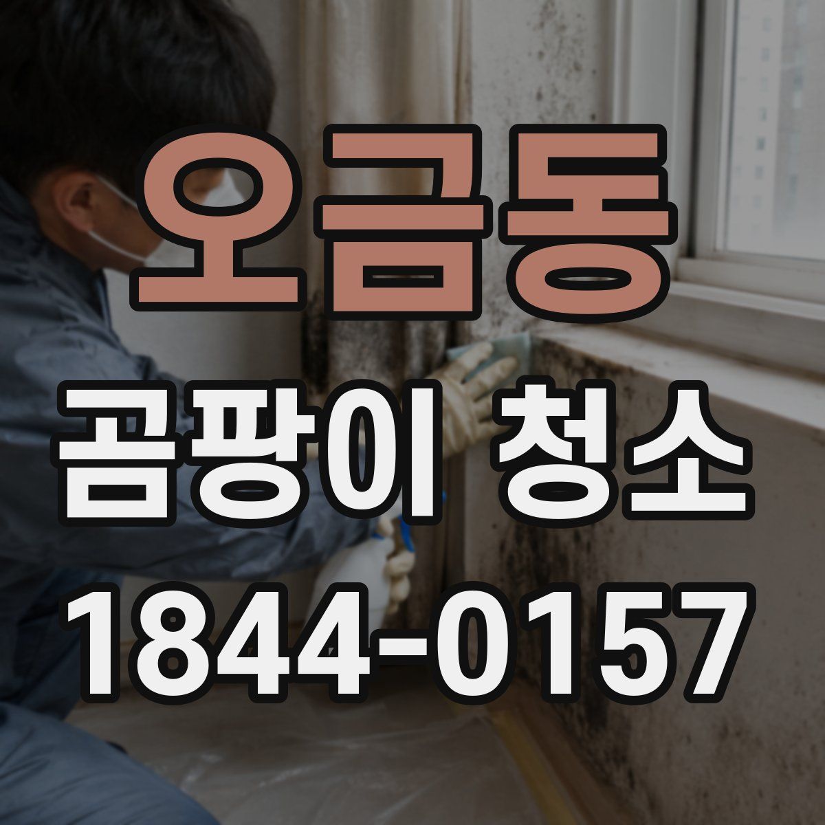 오금동 곰팡이 청소