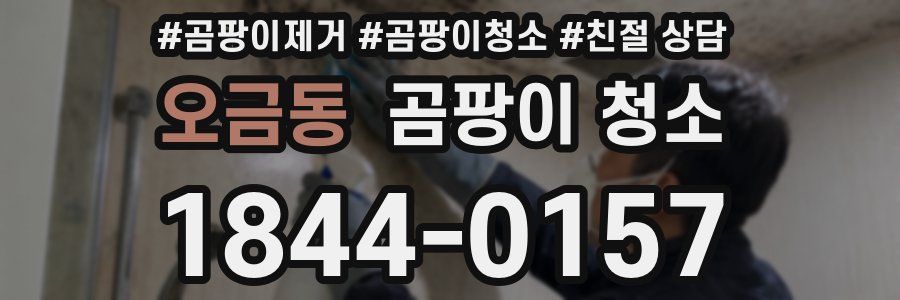 오금동 곰팡이 청소