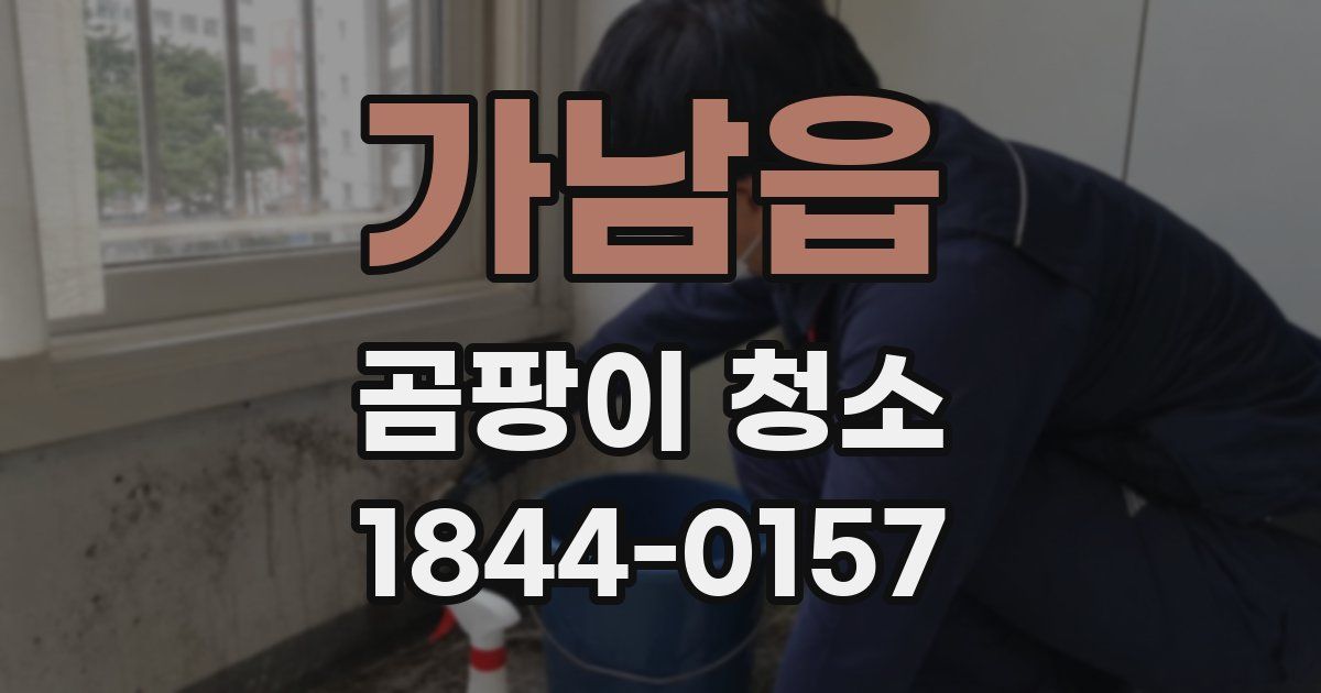 가남읍 곰팡이 청소