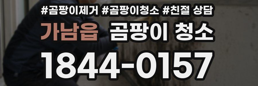 가남읍 곰팡이 청소