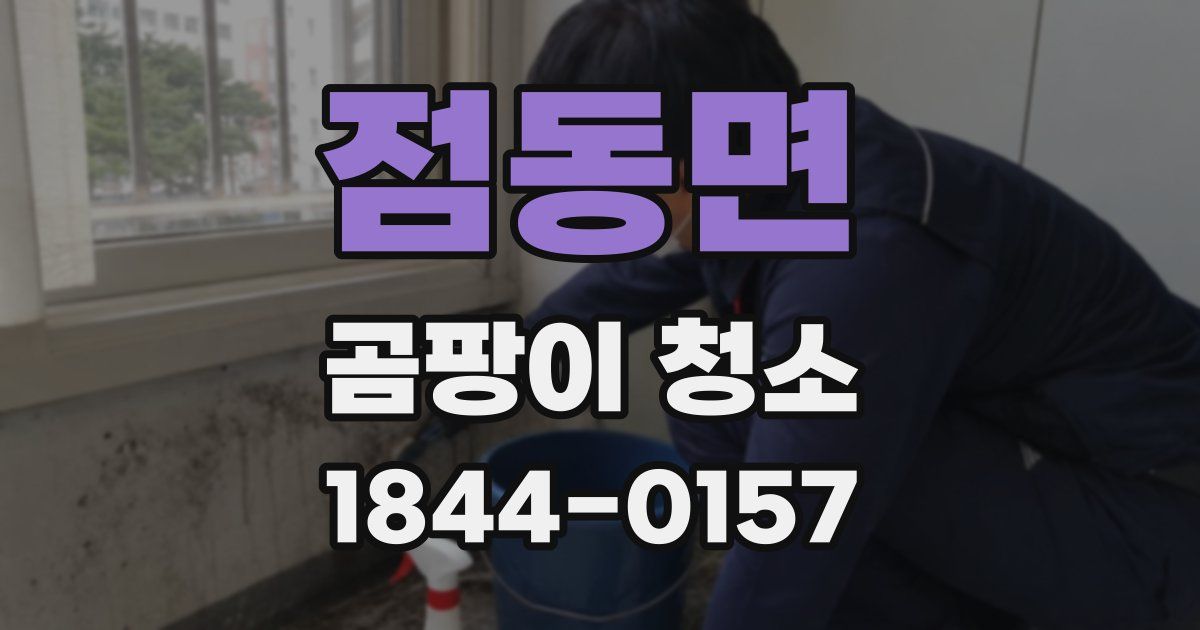 점동면 곰팡이 청소