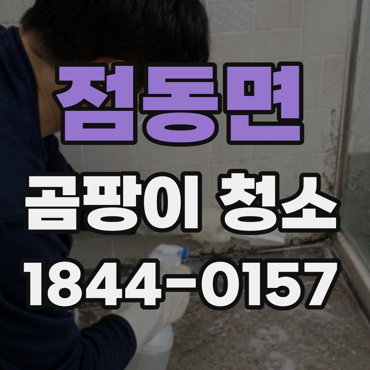 점동면 곰팡이 청소