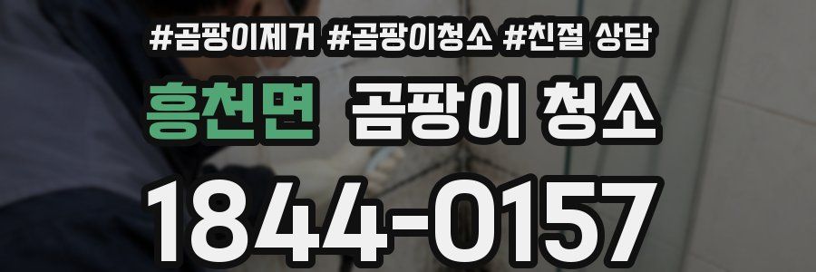흥천면 곰팡이 청소
