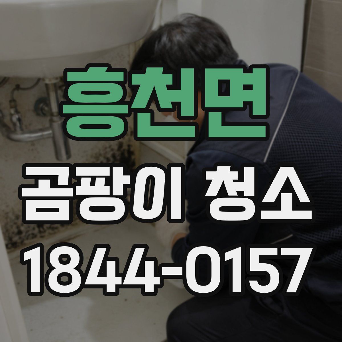 흥천면 곰팡이 청소