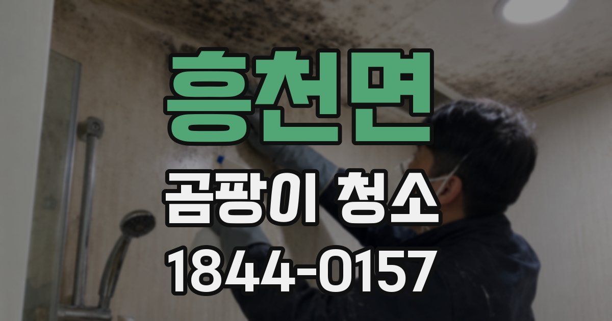 흥천면 곰팡이 청소