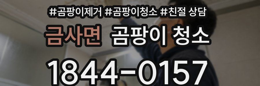 금사면 곰팡이 청소