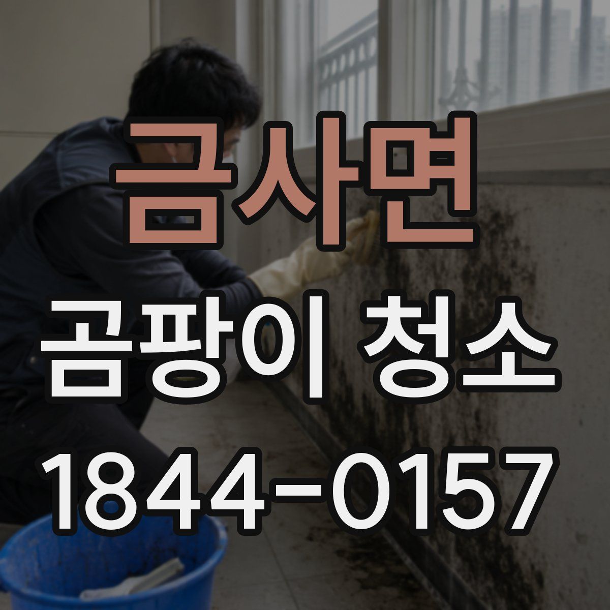 금사면 곰팡이 청소