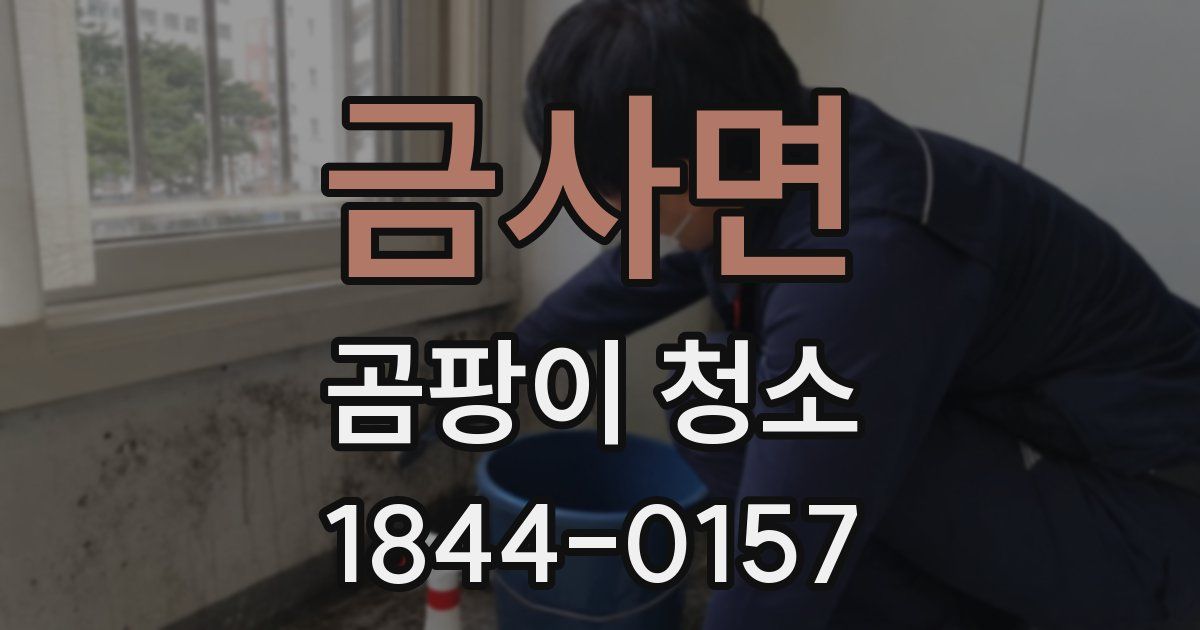 금사면 곰팡이 청소