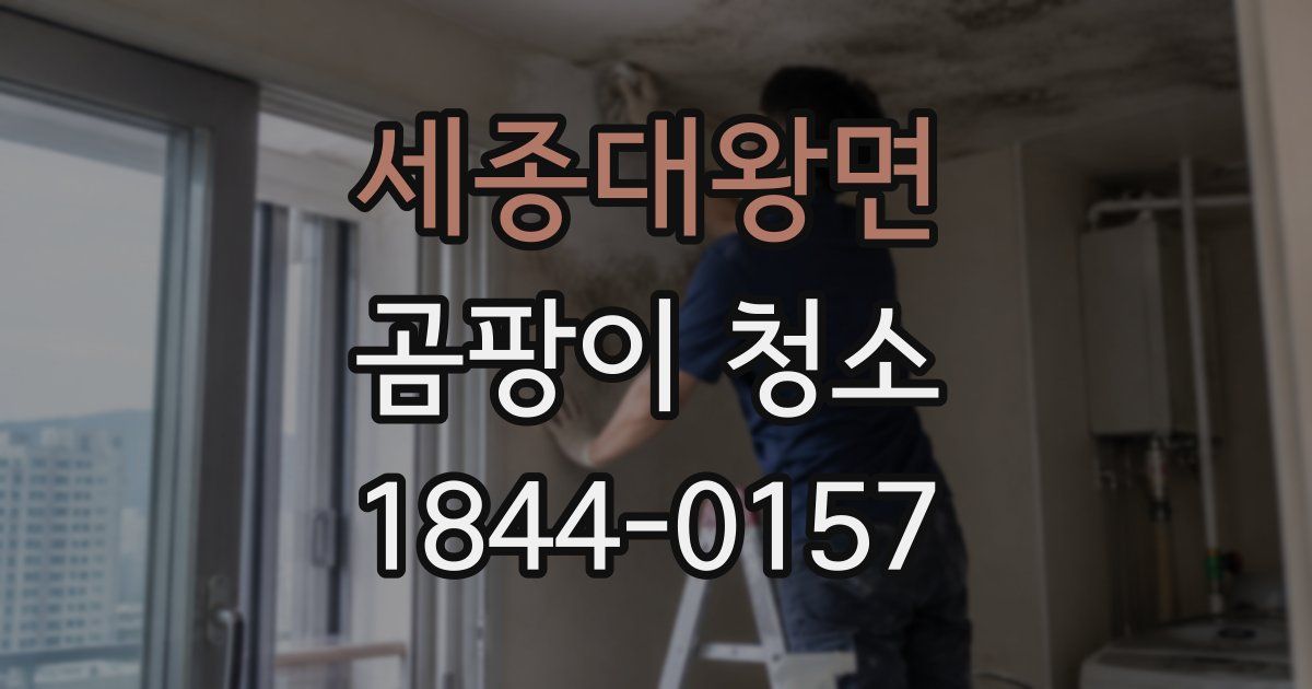 세종대왕면 곰팡이 청소