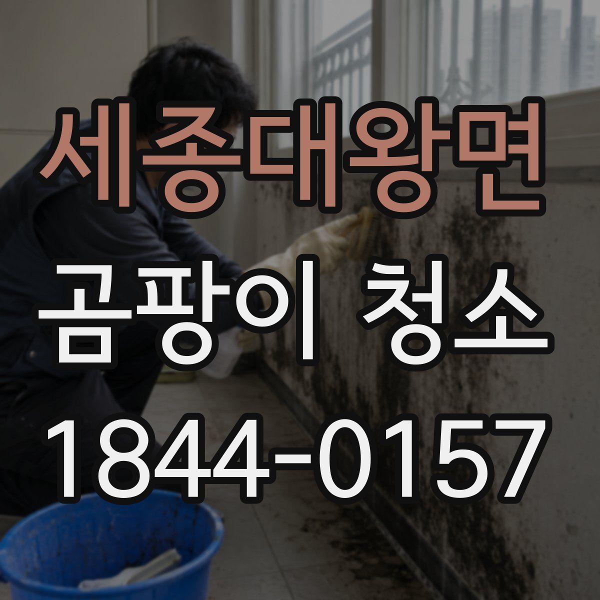 세종대왕면 곰팡이 청소