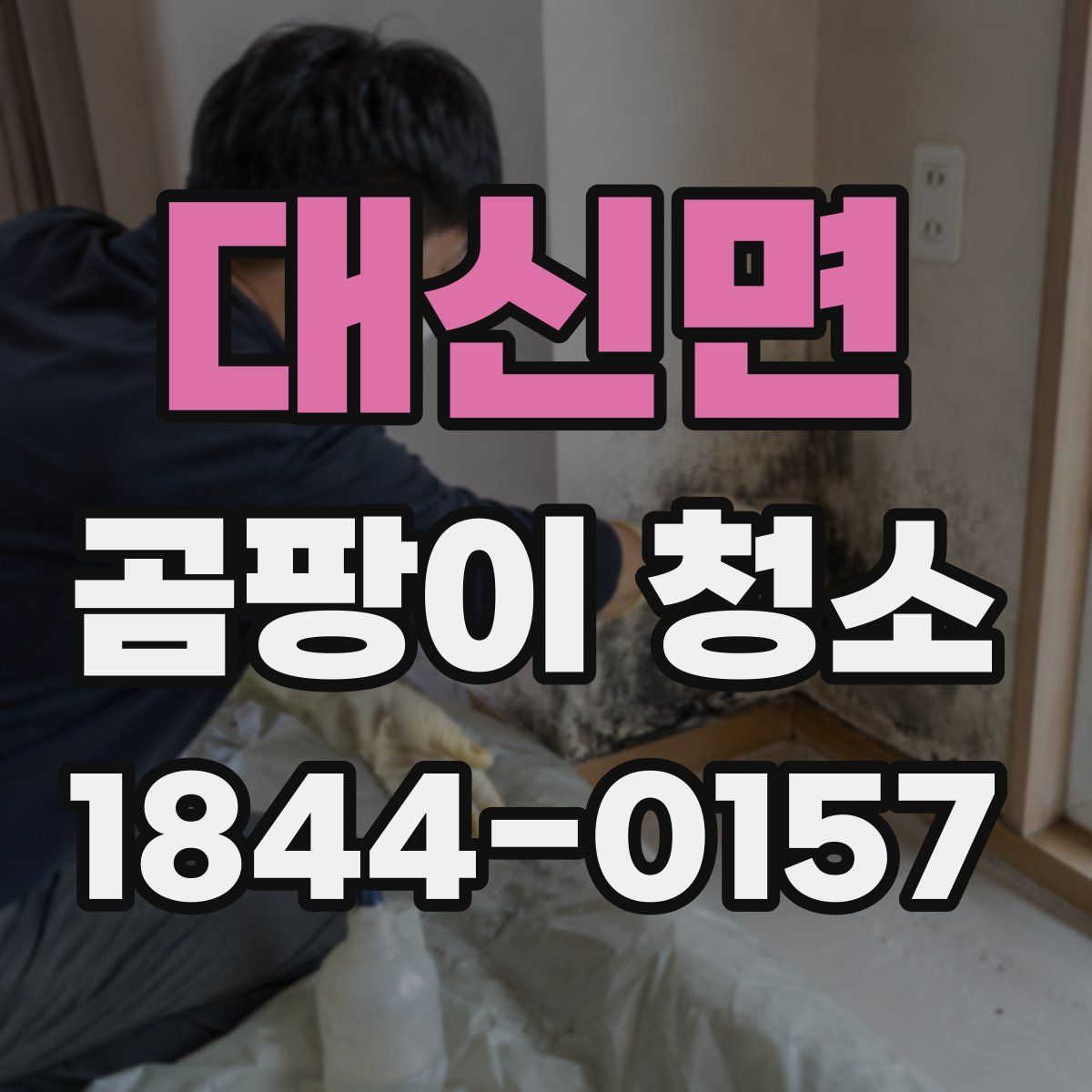 대신면 곰팡이 청소