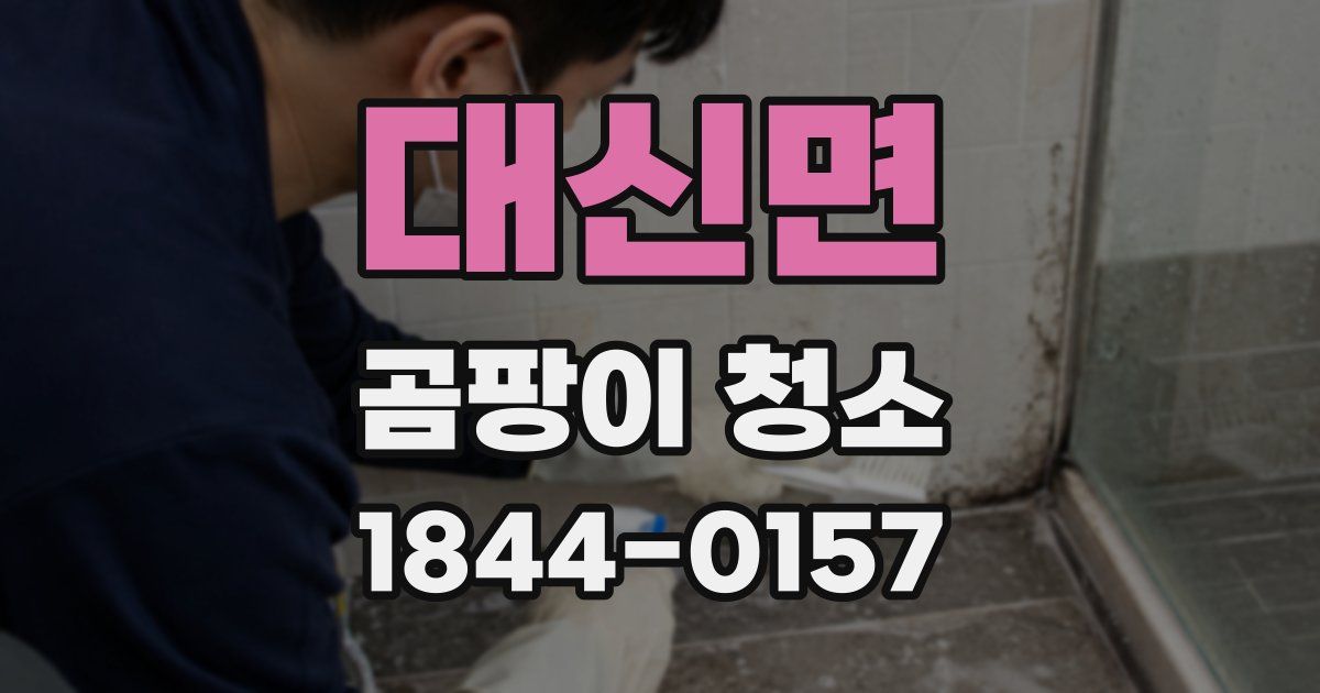 대신면 곰팡이 청소