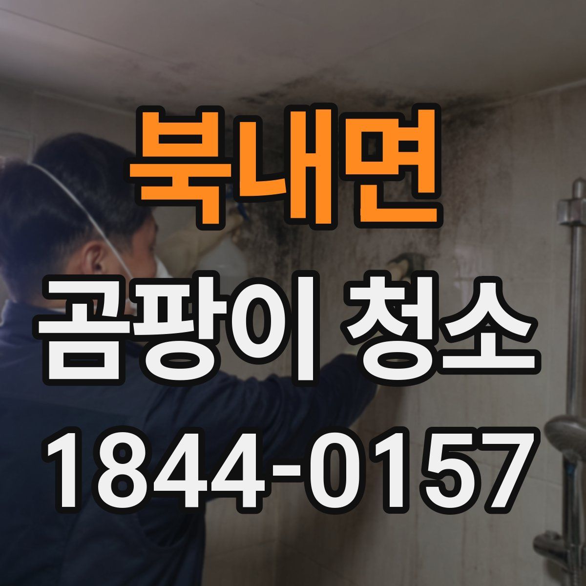 북내면 곰팡이 청소