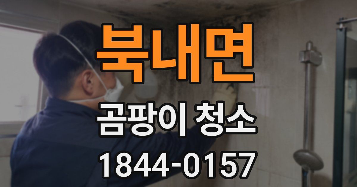 북내면 곰팡이 청소