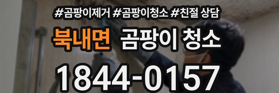북내면 곰팡이 청소