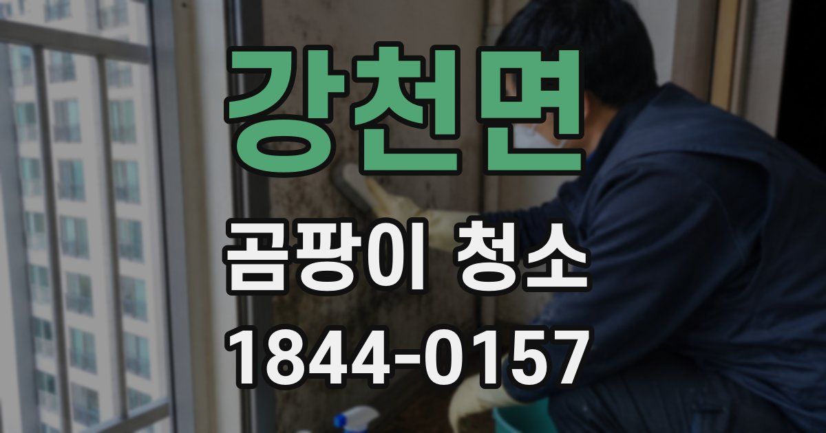 강천면 곰팡이 청소