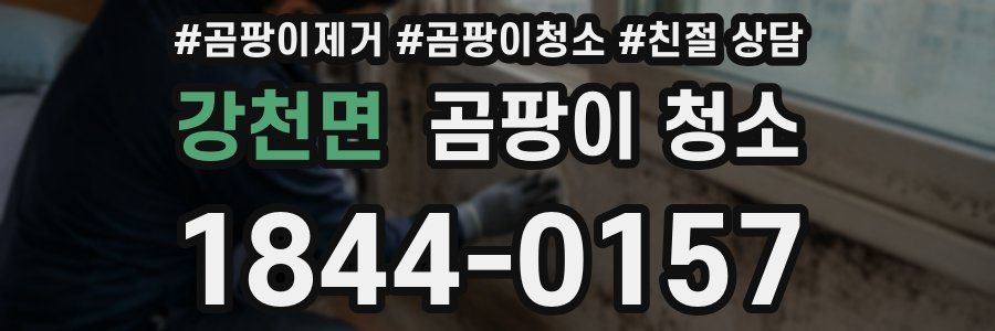 강천면 곰팡이 청소