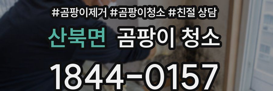 산북면 곰팡이 청소